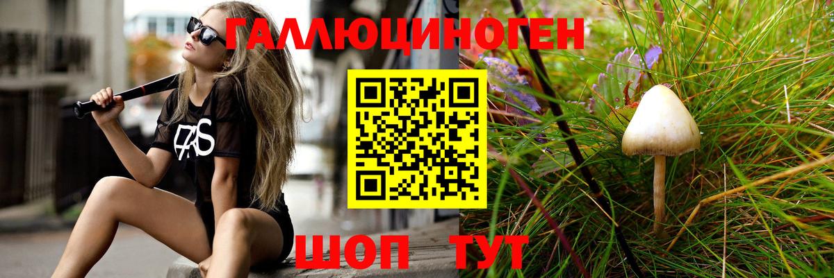 Октябрьский  Псилоцибиновые грибы MAGIC MUSHROOMS  Вход с VPN 