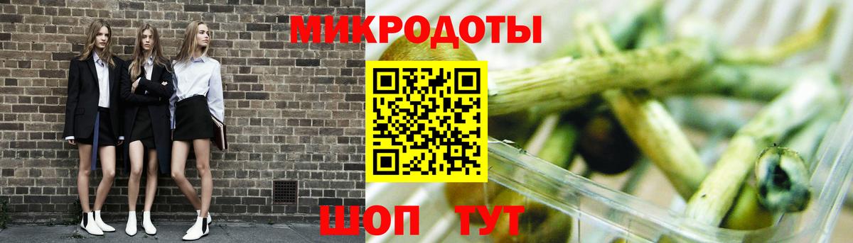 Псилоцибиновые грибы Psilocybe Октябрьский